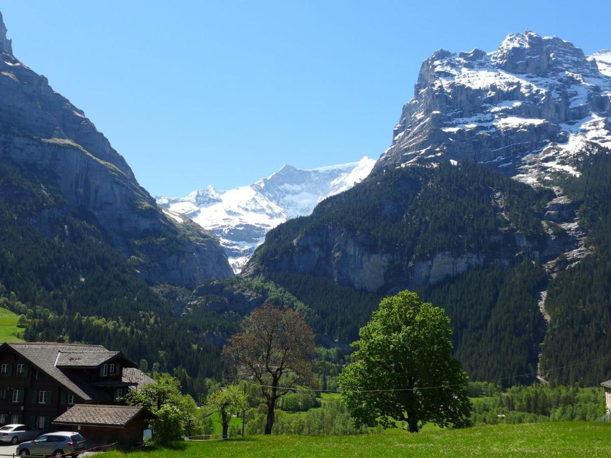 Apartment Chalet Almisgaessli By Interhome Grindelwald Exterior photo