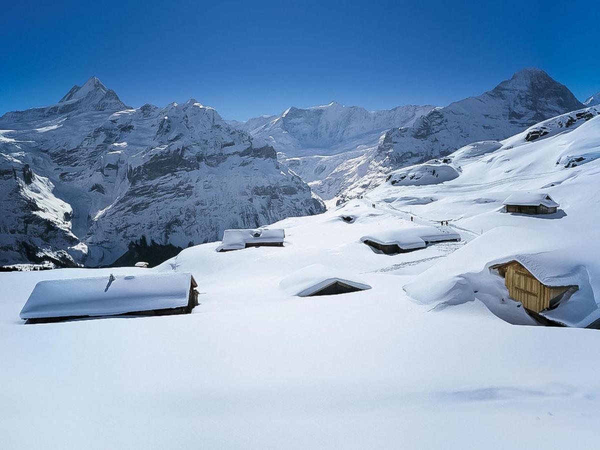 Apartment Chalet Almisgaessli By Interhome Grindelwald Exterior photo